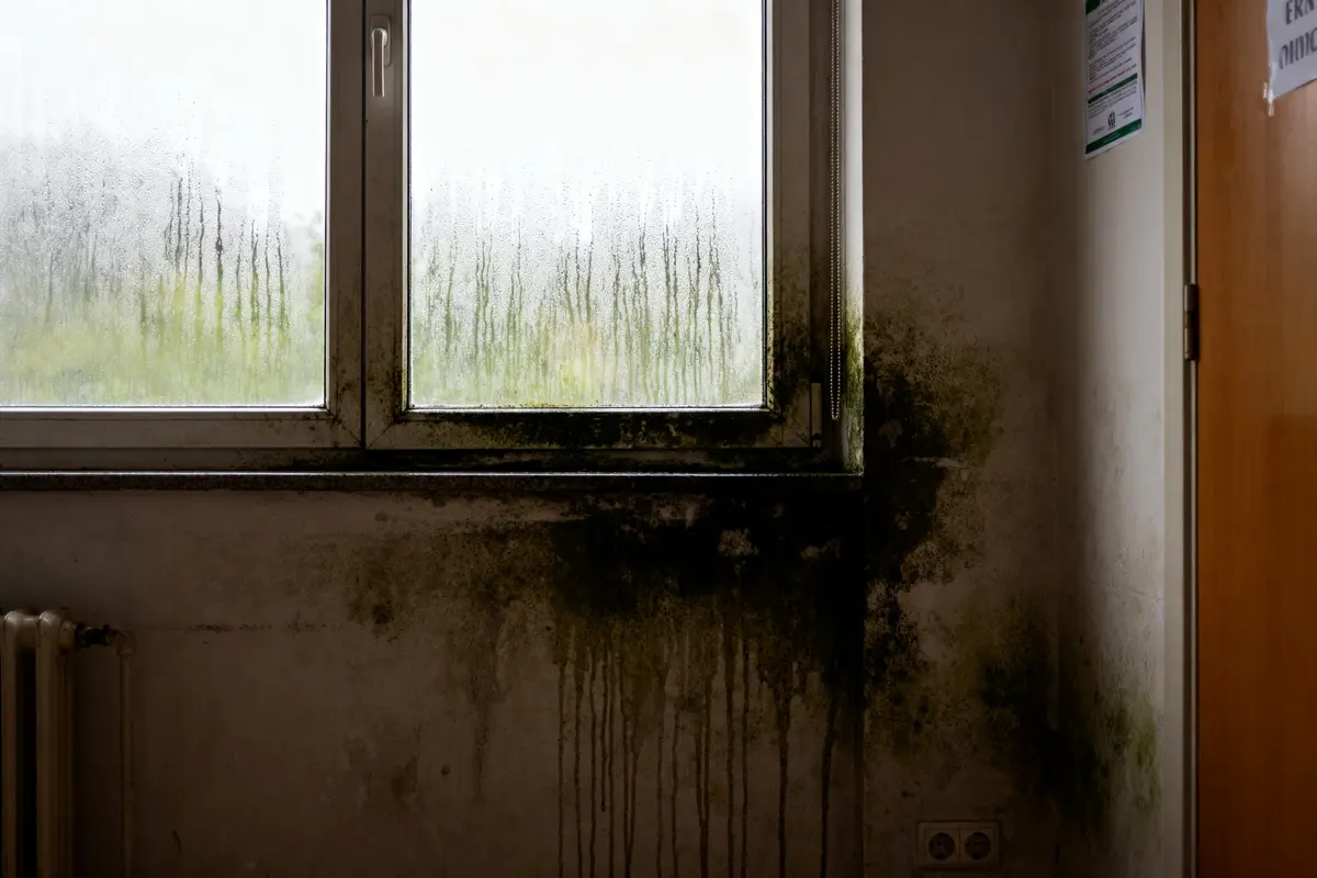 Mur moisi et fenêtre embuée dans une chambre humide avec condensation abondante